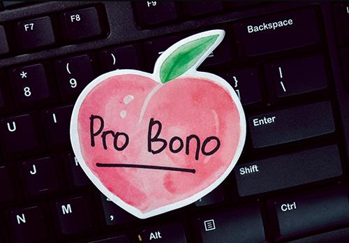 pro bono web